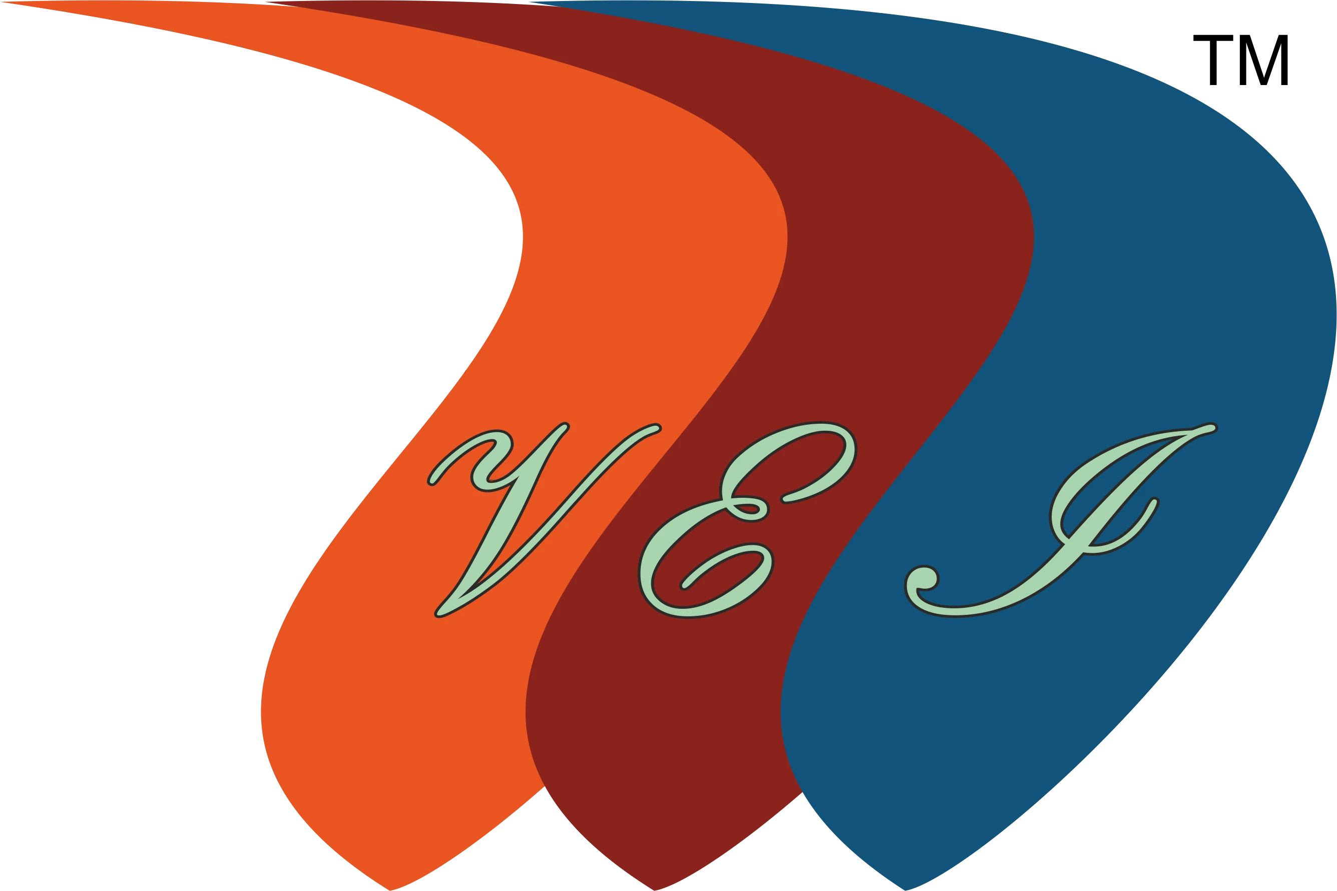 VEI Fashion & Art